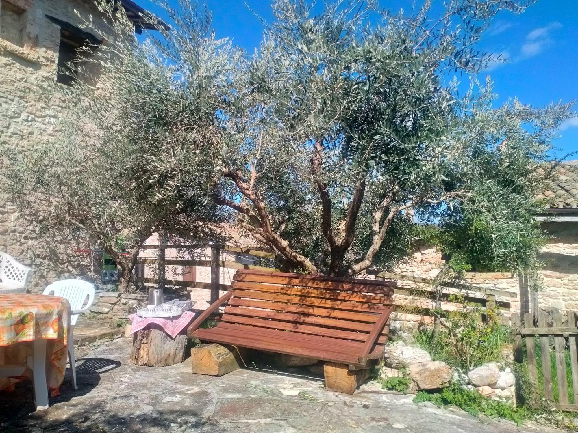 Maison En Pierre Fiastra Værelse billede